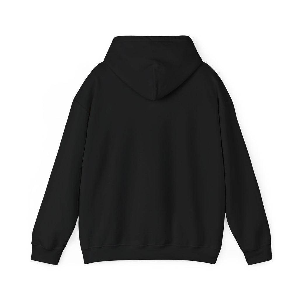 Warning I Get Airsick - Hoodie divertido de viaje
